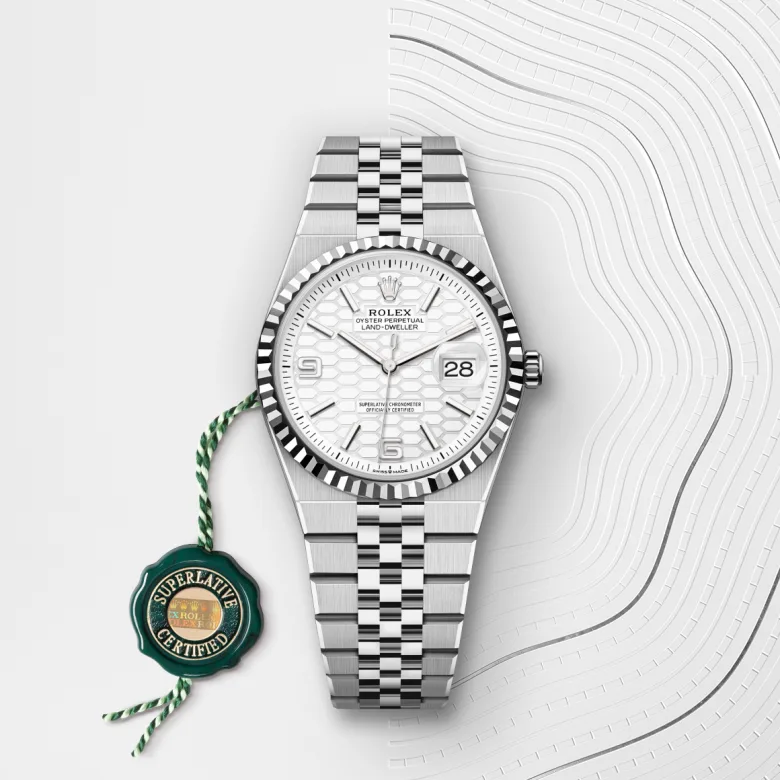 Lai♡ Rolex Land-Dweller 36 White Gold Rolesor Oystersteel, M127234-0001